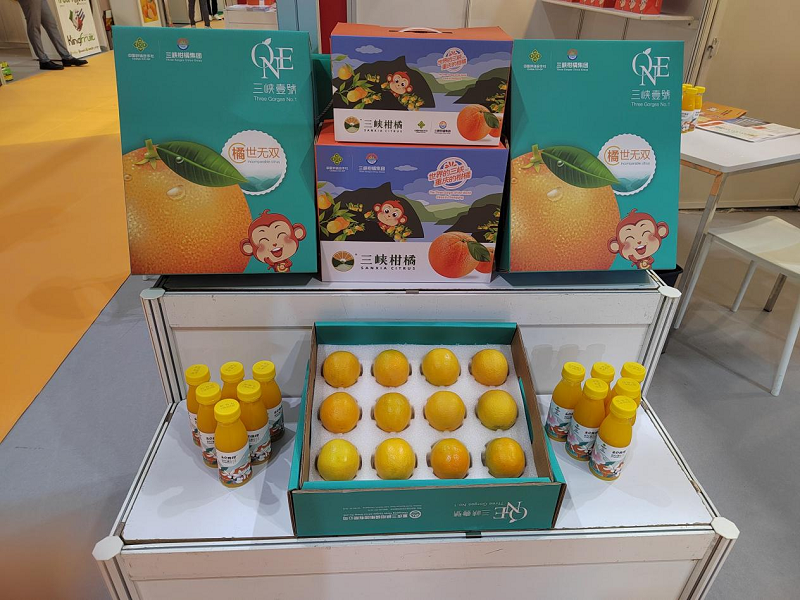 1694510382809699.png 圖片6.png