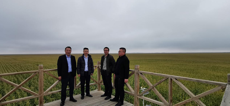 1694765185141050.png 圖片17.png