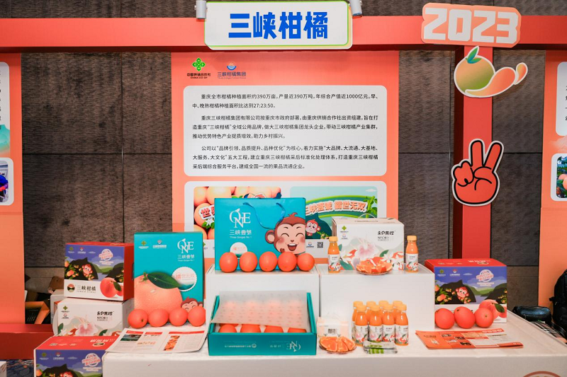 1703147708338078.png 圖片12.png