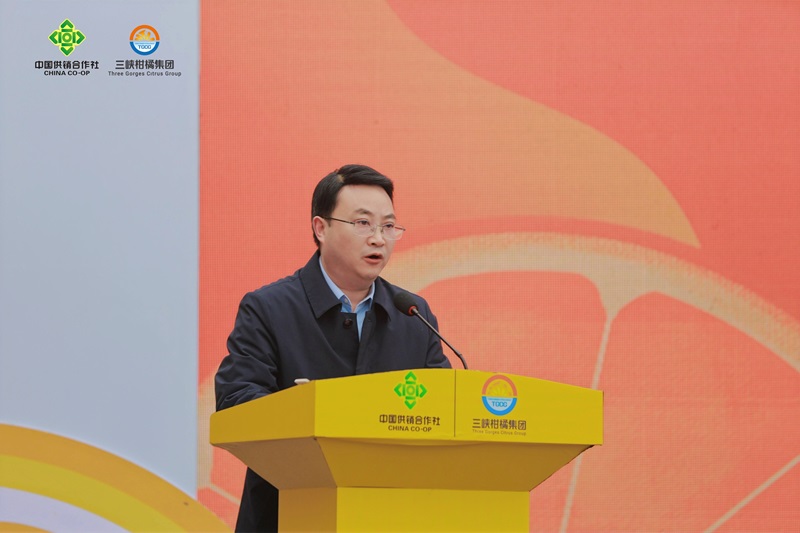 1703759036341127.jpg opq689268262.jpg