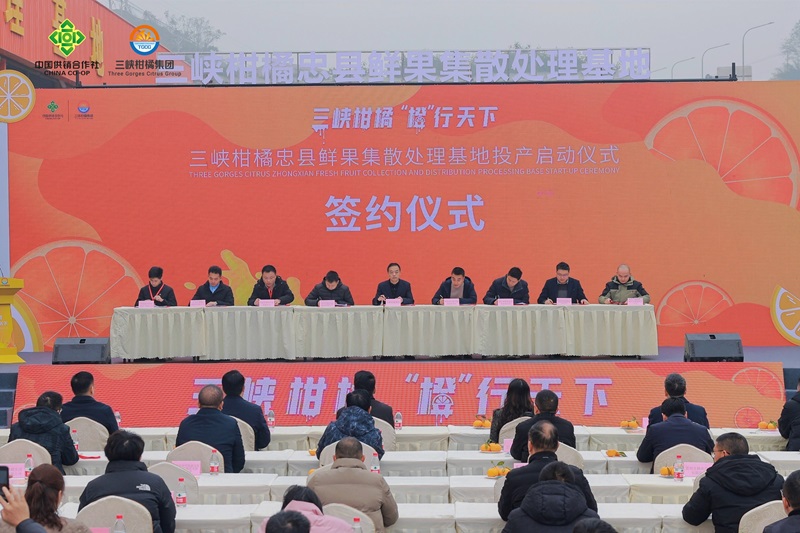 1703759203451052.jpg opq689283458.jpg