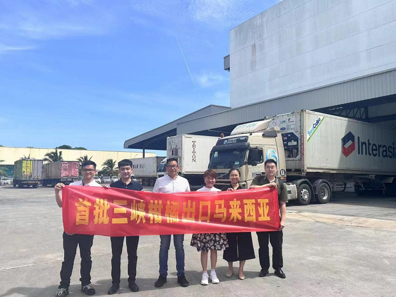 1717465294161946.png 圖片25.png