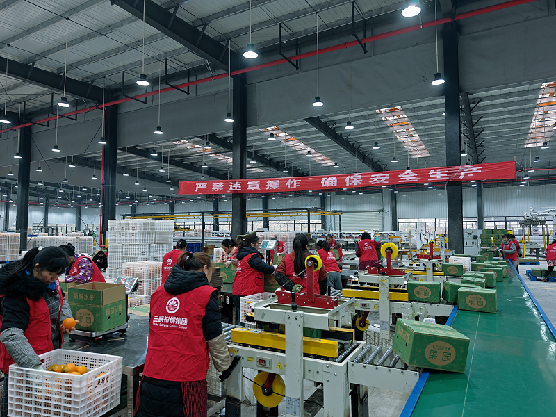 1735112382748286.png 圖片13.png